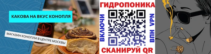 kraken ONION  где найти   Октябрьский  Cannafood марихуана 