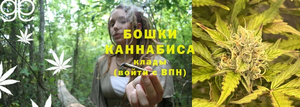 амф Инта