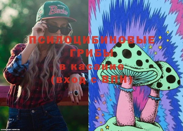 амф Инта