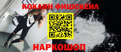 гашик Камышлов