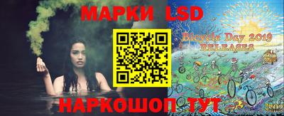 гашик Камышлов