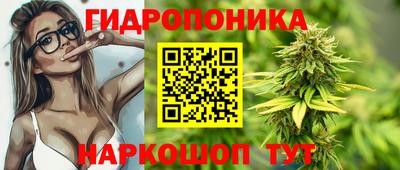 СК Апшеронск