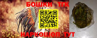 гашик Камышлов