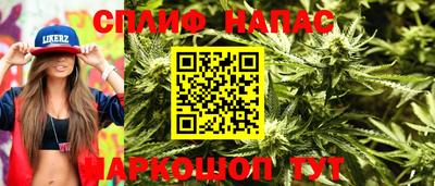 СК Апшеронск