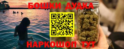 гашик Камышлов