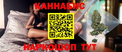гашик Камышлов