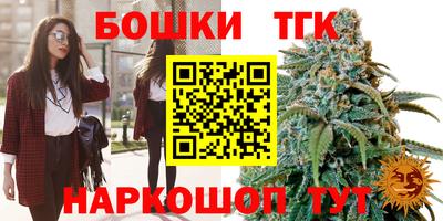 гашик Камышлов