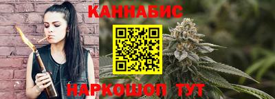гашик Камышлов