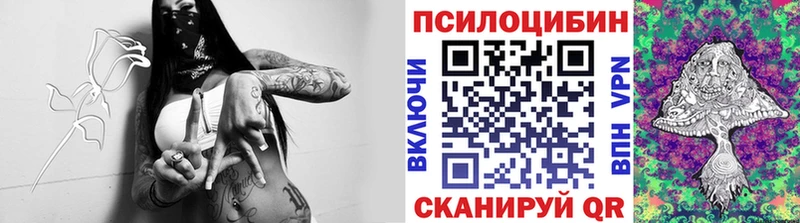 где купить наркотик  это какой сайт  Псилоцибиновые грибы GOLDEN TEACHER  Октябрьский 