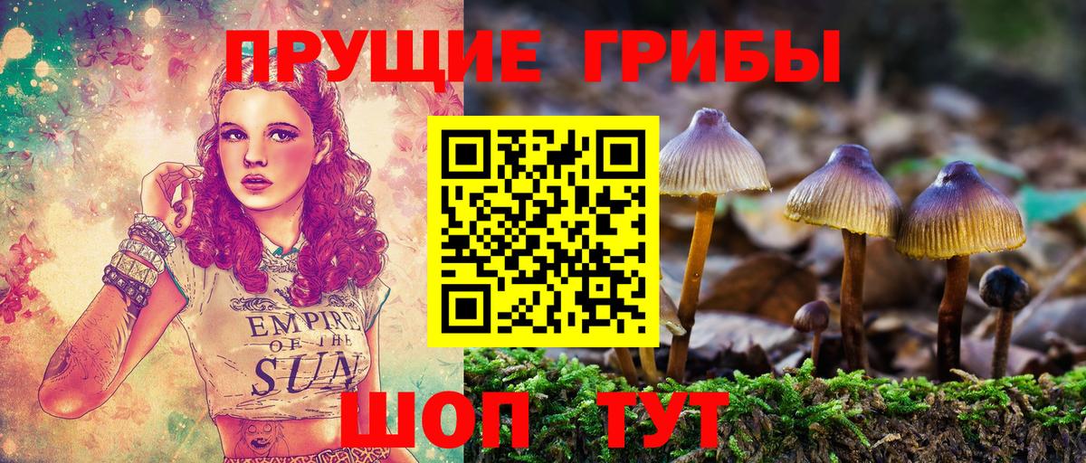 Псилоцибиновые грибы GOLDEN TEACHER  Октябрьский  Галлюциногенные грибы прущие грибы 