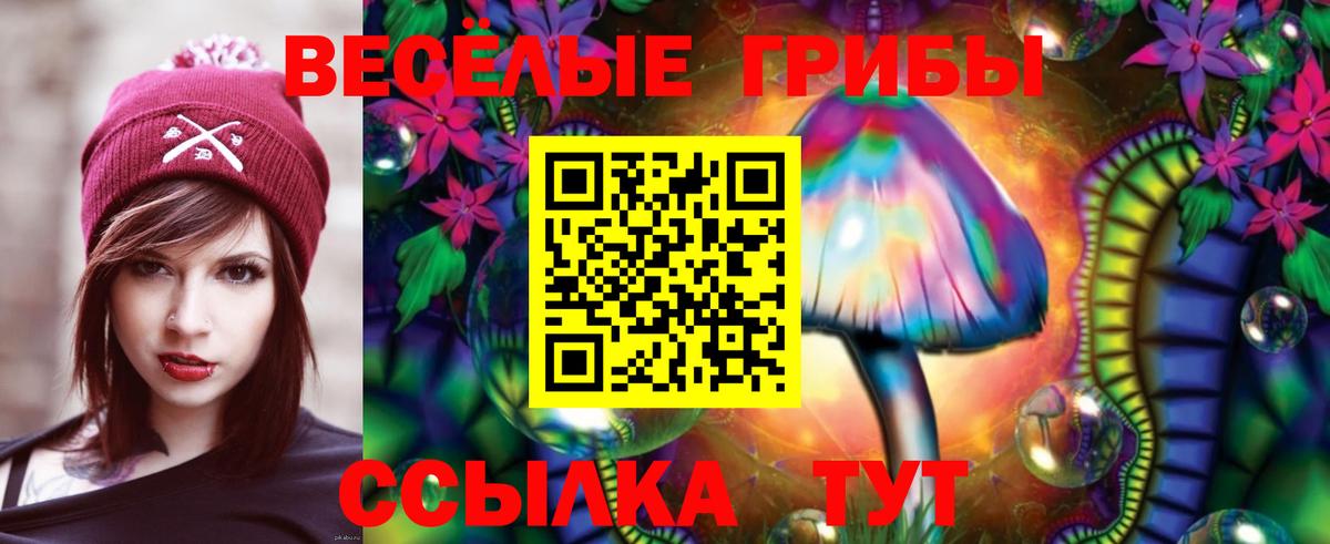Псилоцибиновые грибы Psilocybe Октябрьский